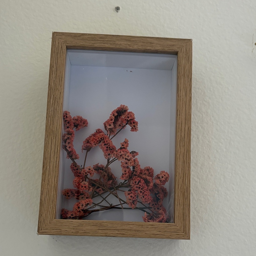 Framed Pink Floral Shadow Box